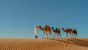 Ruta de 12 Días desde Tánger a Tánger