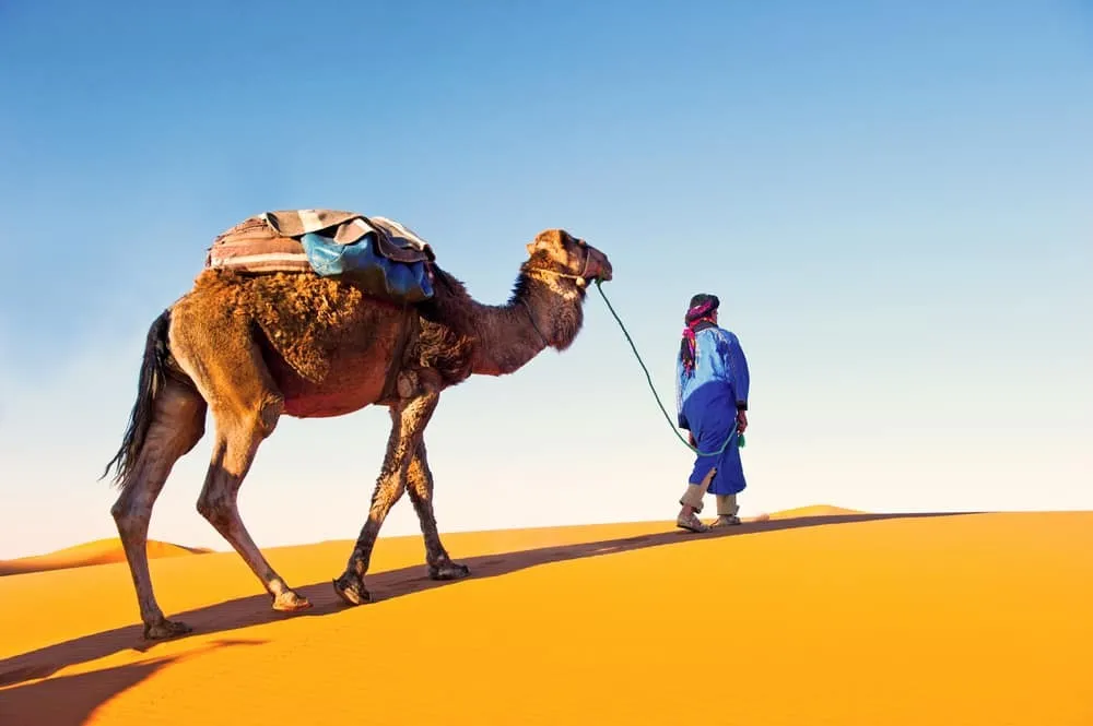 3-Day Merzouga Desert Loop Tour from Fes