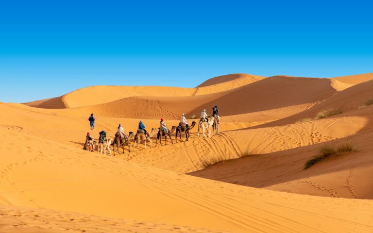 Camel trek at sunset in Merzouga - 6-day desert tour from Tangier to Marrakech | Paseo en camello al atardecer en Merzouga - tour de 6 días desde Tánger a Marrakech
