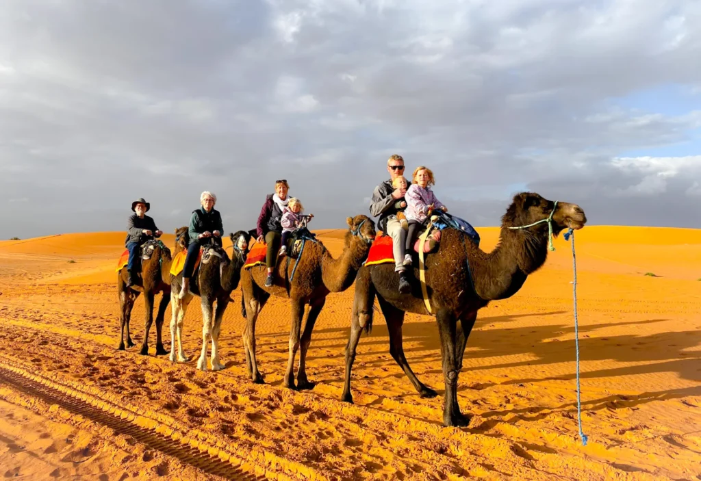 Camel trekking across Erg Chebbi dunes in Merzouga Desert Morocco