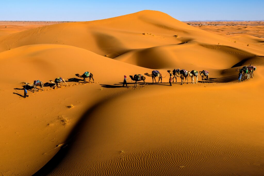 2-Day Zagora Desert Tour from Marrakech