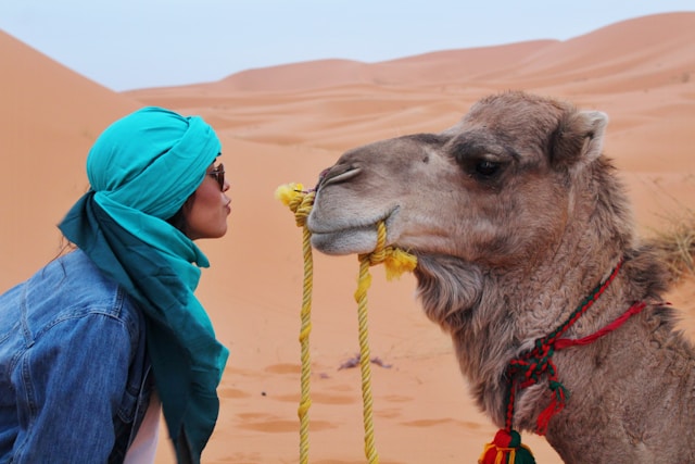 2-Day Zagora Desert Tour from Marrakech
