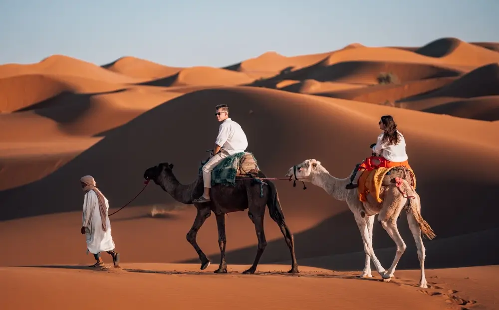 5-Day Desert & Imperial Highlights Tour from Casablanca