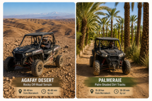 Ultimate Guide to Buggy Tours in Marrakech: Agafay & Palmeraie