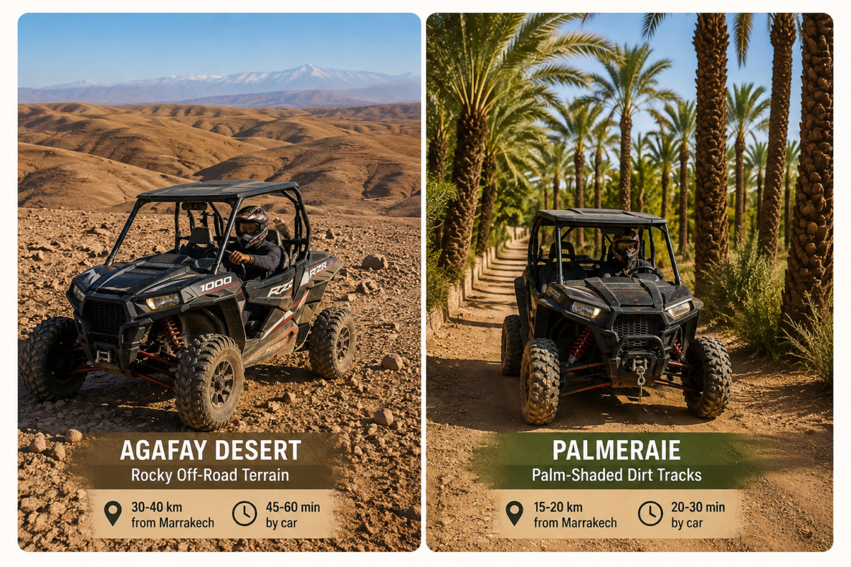 Ultimate Guide to Buggy Tours in Marrakech: Agafay & Palmeraie
