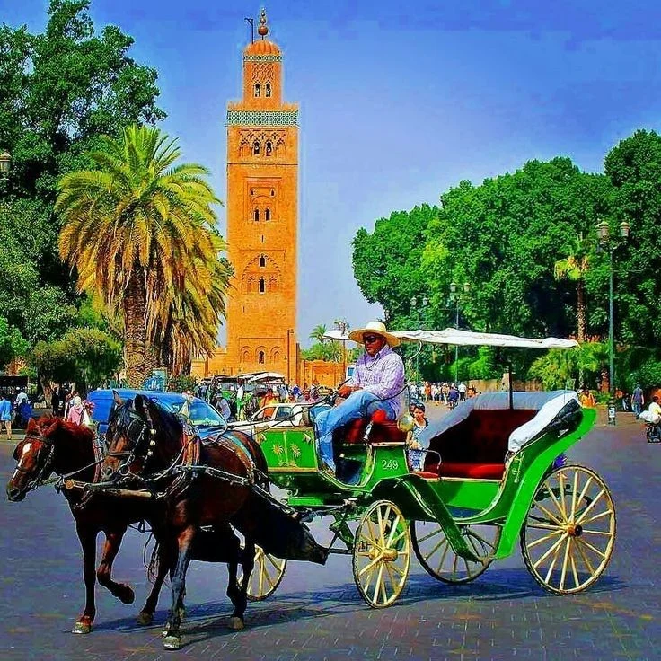 Morocco Tours 2026: Desert Trips & Complete Travel Guide - Best Time to Visit Morocco: Complete Month-by-Month Guide