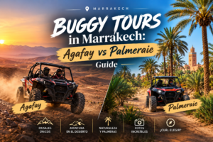 Buggy Tours in Marrakech: Agafay vs Palmeraie Guide