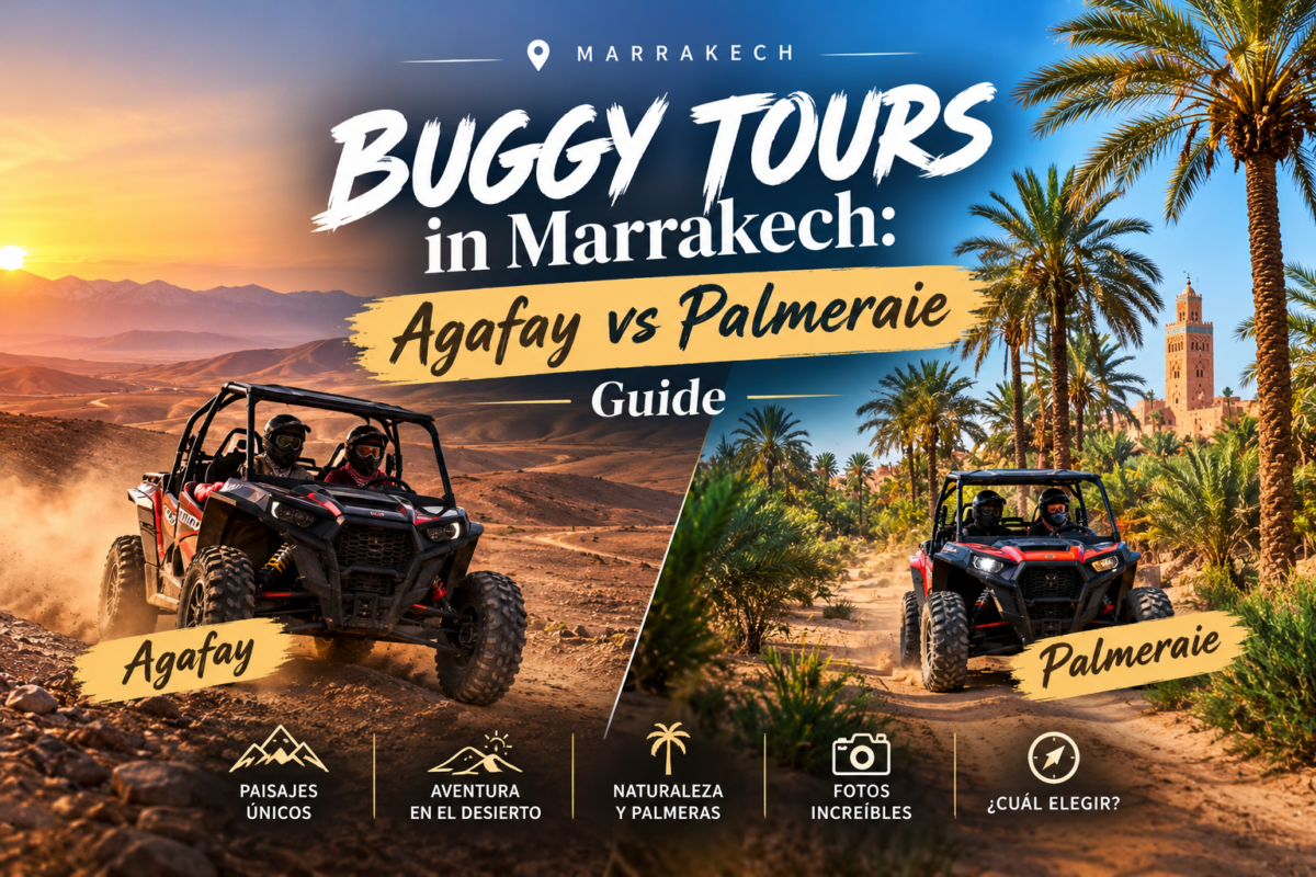 Buggy Tours in Marrakech: Agafay vs Palmeraie Guide