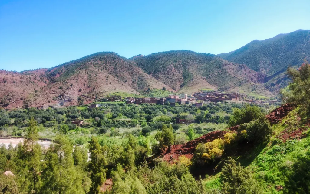 Atlas Mountains tour: Ourika Valley waterfall and lunch near Marrakech