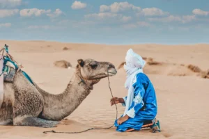 Morocco Desert Routes Sahara Trips - Tour Privado a Medida por Marruecos