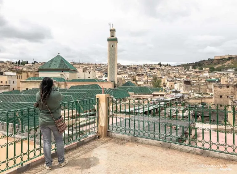 View over the medina of Fes - 12 days in Morocco | Vista de la medina de Fez - Marruecos en 12 días