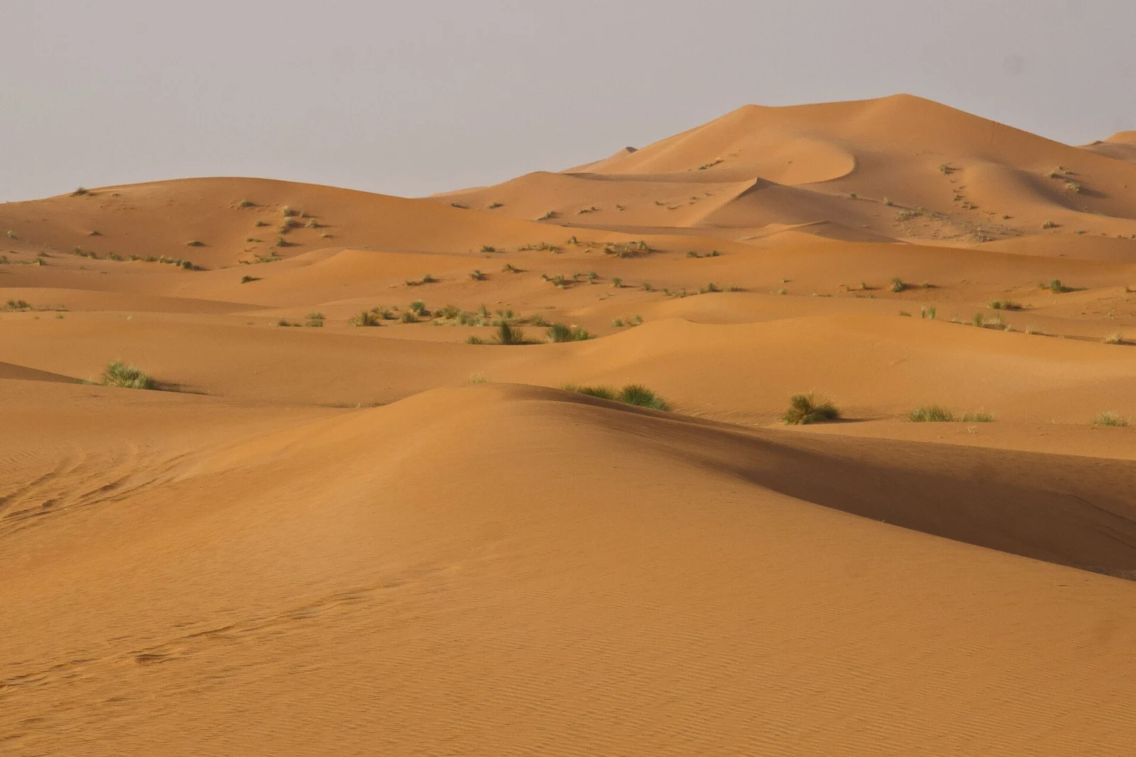 Erg Chebbi dunes at sunset - 5 day Morocco tour | Dunas de Erg Chebbi al atardecer - 5 días por Marruecos