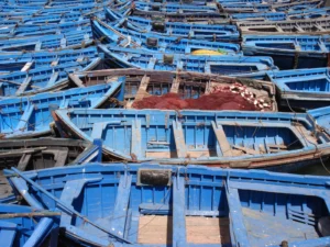 Blue fishing boats in the port of Essaouira - Marrakech to Essaouira | Barcas azules en el puerto de Essaouira - de Marrakech a Essaouira
