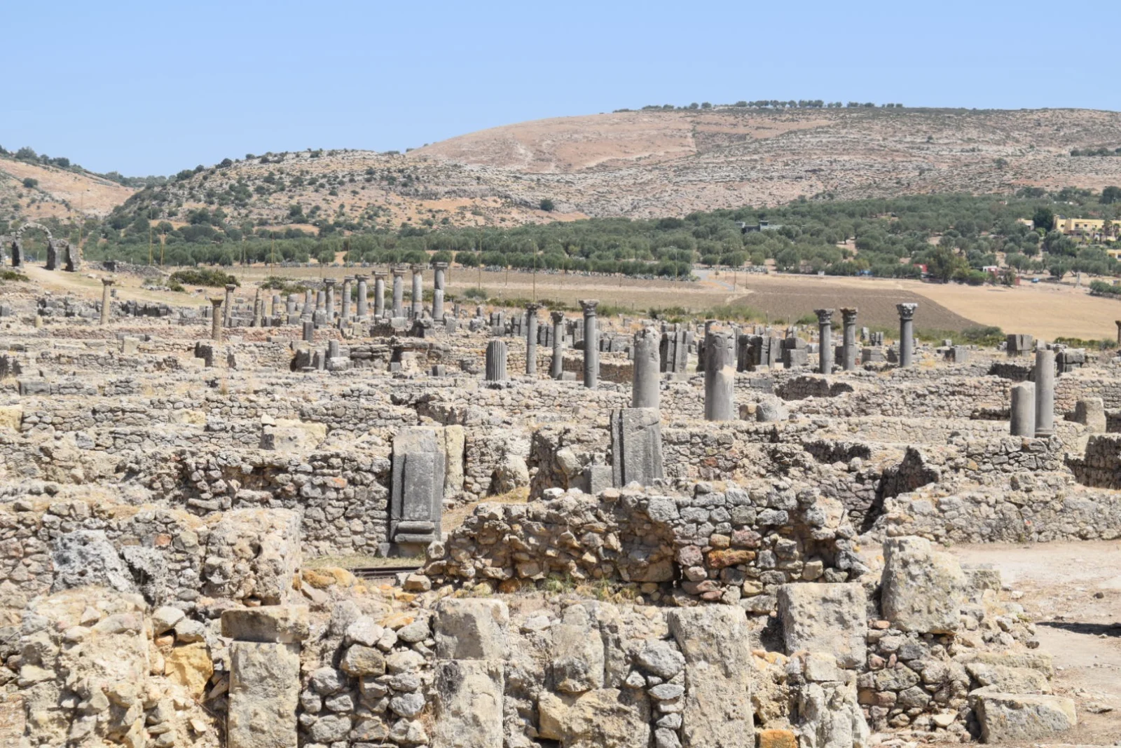 Roman ruins of Volubilis near Meknes - 8-day Morocco tour from Marrakech to Tangier | Ruinas romanas de Volubilis cerca de Meknes - tour de 8 días desde Marrakech a Tánger
